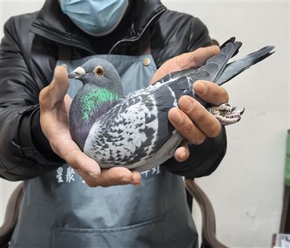 ����ĸ792�����