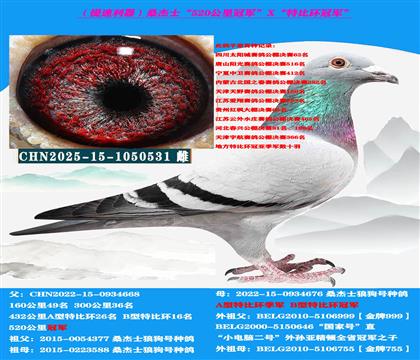 (山区地形 吃苦耐劳)桑杰士“双冠军”作出