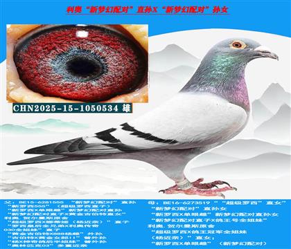 利奥 “新梦幻配对”“直孙X新梦幻配对孙女”