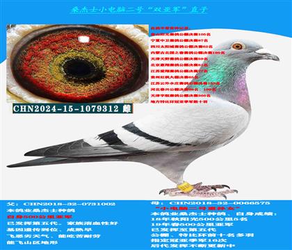 (山区地形 吃苦耐劳) 桑杰士双亚军作出 公棚首选