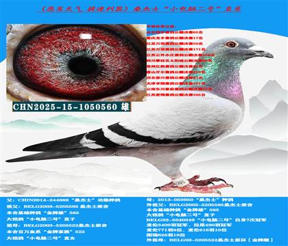 (山区地形 吃苦耐劳)云贵川提速利器 公棚首选