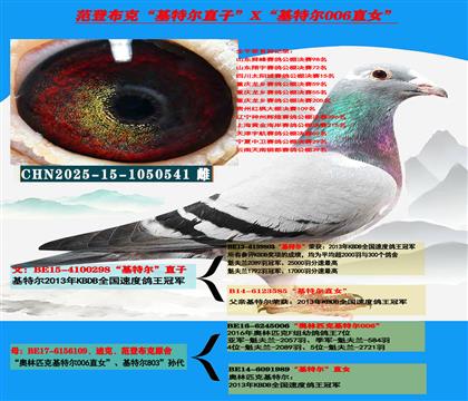 迪克 范登布克“基特尔”直子X“基特尔006”直女