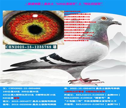 (山区地形 吃苦耐劳)桑杰士“双冠军”作出