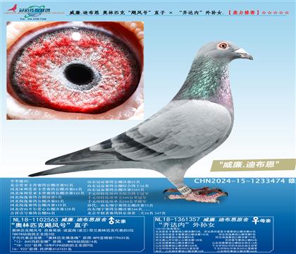 ����.�ϲ��� ����ƥ�ˡ�쫷�š�ֱ�� �� ������ڡ�����Ů.