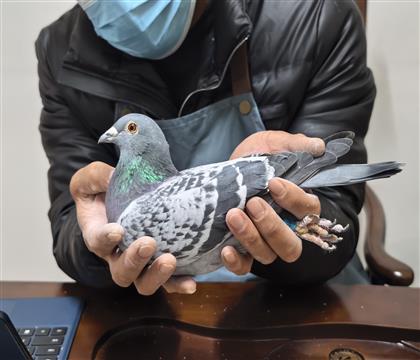 ����ĸ792��ֱ��