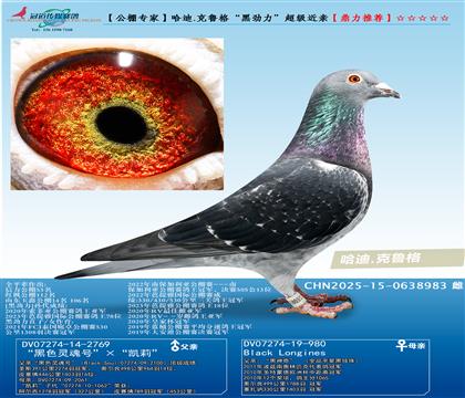 ����ר�� ����.��³�񡰺ھ�������������