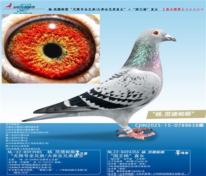 �����޺�ȫ�ֵ�/��ȫ�ֵ�ֱŮ�����������ֱŮ