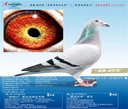 ����.�ϲ�����ī�ƶ���ȫ�ֵܡ�����ī�ƶ���ֱŮ��