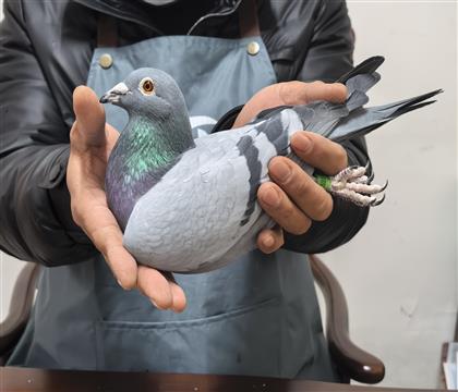 ����ĸ792��ֱ��