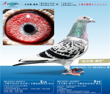 ������.���ס���ñ��Ϸ��ȫ�ֵܡ���ֱ�ӡ����ܻ���Ů����