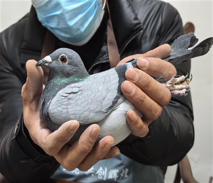 盖比-吉瓦特.兰奴