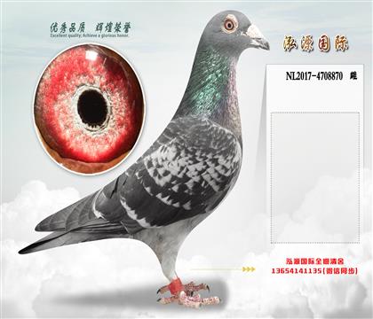 ����ǰʮĸ�� ����003ֱ��Ů