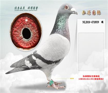 ǧ����5����������� ĸ��  �Ǳ�³��ֱ��Ů