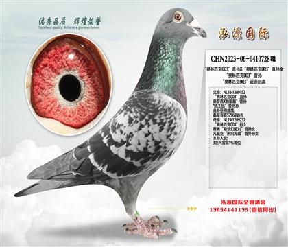 ������ƥ��003��ֱ��X������ƥ��003��ֱ��Ů