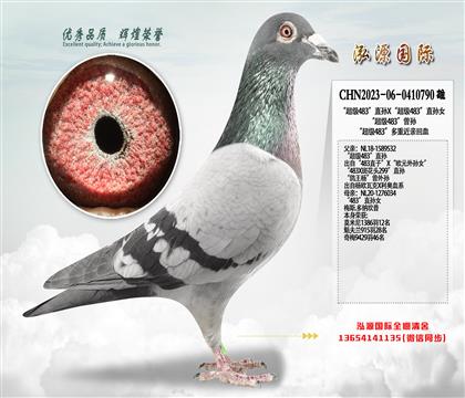 ������483��ֱ��X������483��ֱ��Ů