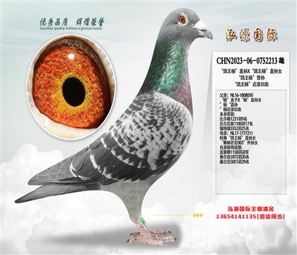 �������ֱ��X�������ֱ��Ů