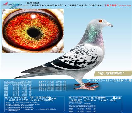 �����޺�ȫ�ֵ�/��ȫ�ֵ�ֱŮ���������޺š�ȫ�ֵ�/���󱼡�