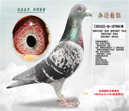 ������ƥ��003��ֱ��X�����λ���ԡ�����Ů