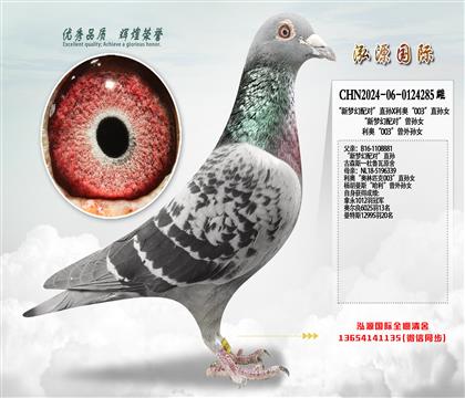 �����λ���ԡ�ֱ��X���¡�003��ֱ��Ů