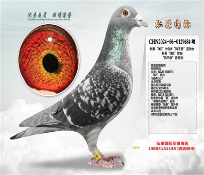 ���Ƽ������¡�003������X�������ֱ��Ů