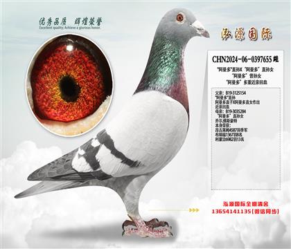 �������ࡱֱ��X�������ࡱֱ��Ů