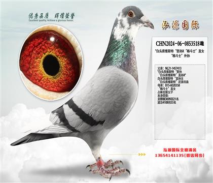 ����ͷϯά˹�ء�����X����ʿ��ֱŮ