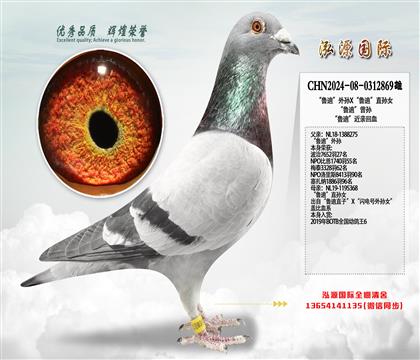 ��³�ϡ�����X��³�ϡ�ֱ��Ů