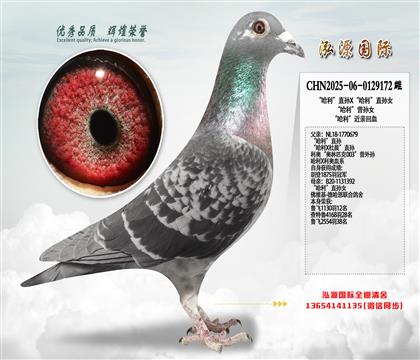 ��������ֱ��X��������ֱ��Ů