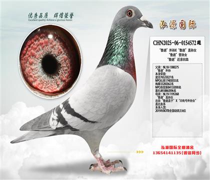 ��³�ϡ�����X��³�ϡ�ֱ��Ů