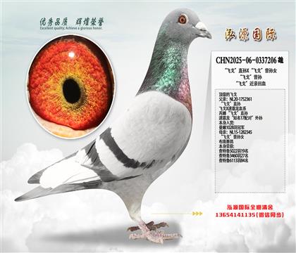 ���ɸꡱֱ��X���ɸꡱ����Ů