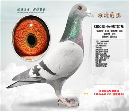 ������098��ֱ��X������098��ֱ��