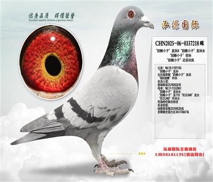 ������С�ӡ�ֱ��X������С�ӡ�ֱ��Ů