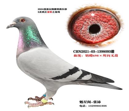 �����ѣ�����X������093