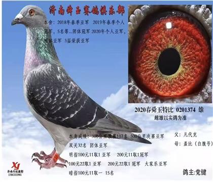 ɽ��˴����ֲ��رȻ������Ǿ�