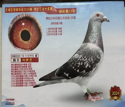 �������������������Ÿ�Э�����12��