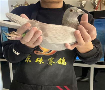 �����ƴ�-���ݴ�筽�Ѫ ˽���ָ�