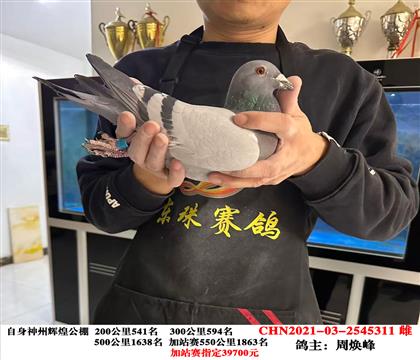 �����������ݻԻ͹��������