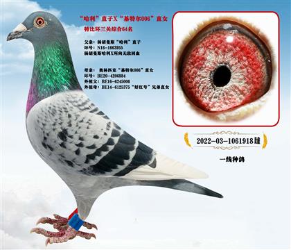 һ�߽�ĸ�������˹��������ֱ��X�����ض�006��ֱŮ