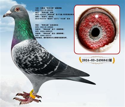 �Ƽ����Ͽ�.�����ˡ������޵С����ؽ���