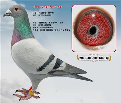 ��.������˹�����޺š�X���ض�006ֱŮ