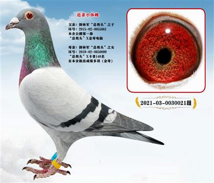 ����С�ơ����־����ܽ�ͷֱ��X�ܽ�ͷֱŮ��