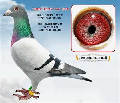 �����޺š�ȫƽ��X���󱼡�ȫƽ��