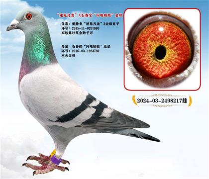 �ټ�����36�Ž�ĸֱ��Xʯ����ɣ��ʿ�����罿��