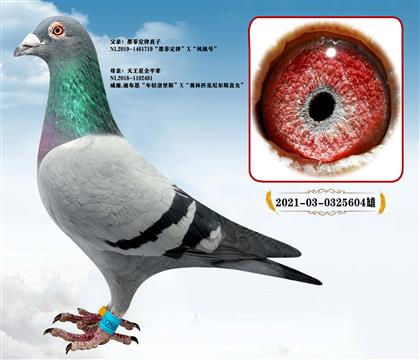 ī�ƶ���ֱ��X������ȫƽ��