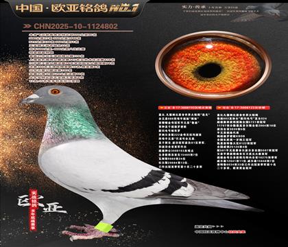 �Ǳ�ԭ��193X��������š�ֱŮ123