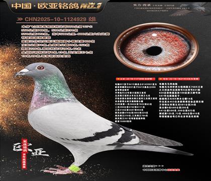 ����ɣ��ʿ048X���Ը�����453