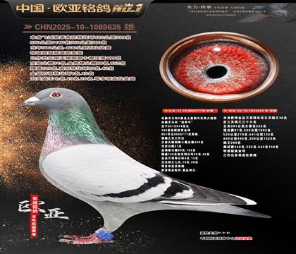 ����ɣ��ʿ777Xɣ��ʿ625��ظ���36��