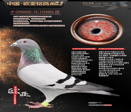 ���Գ����ֹ�926����Xɣ��ʿ682��ĸ29��