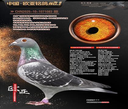 ��˹����ԭ��335X220