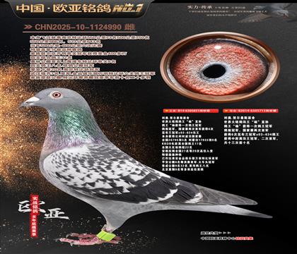 ����ԭ��851X��ֱ��Ů713